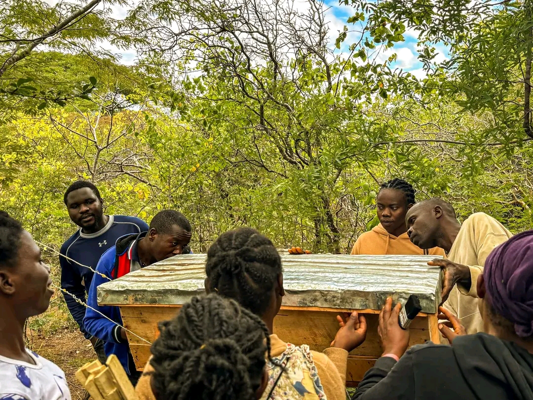 Beekeeping Training Session