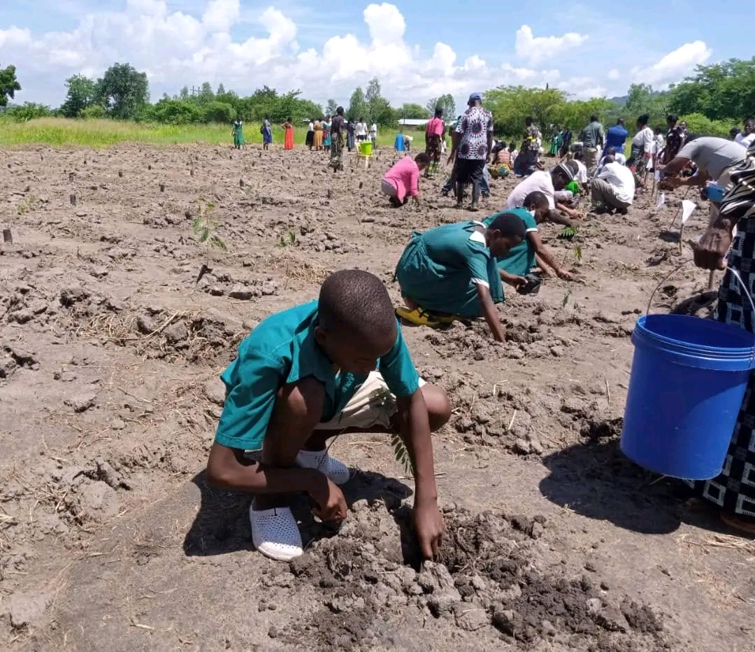 Agroforestry Initiative