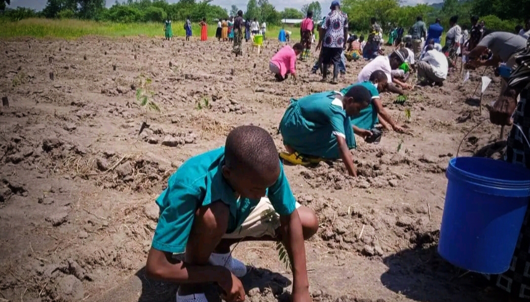 Community Climate Action