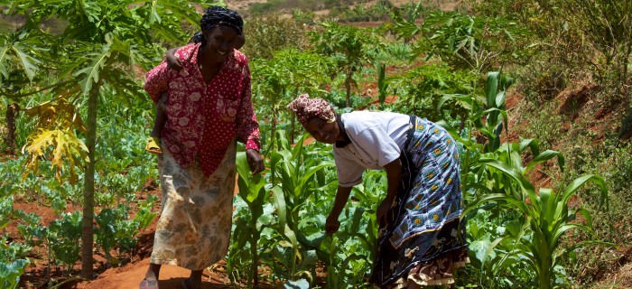 Food Security Program