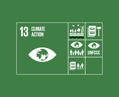 SDG 13 Climate Action