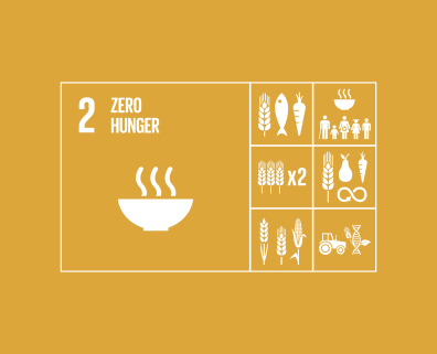 SDG 2 Zero Hunger