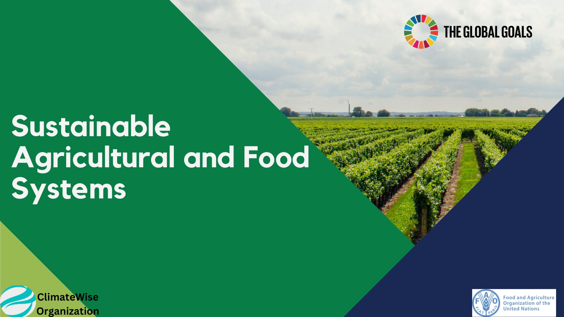 Sustainable Agriculture Report