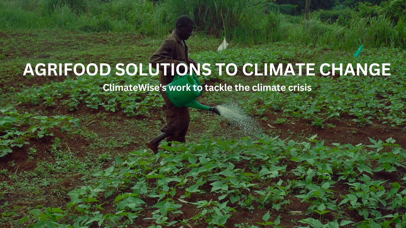 Sustainable Farming Practices